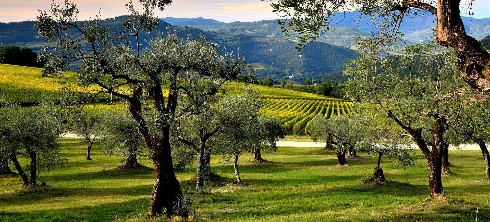 Fırsat İndirimleri Başladı